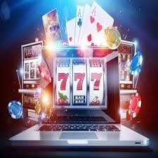 win268